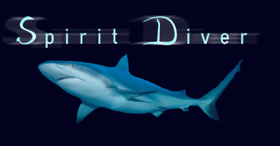 Spirit Diver