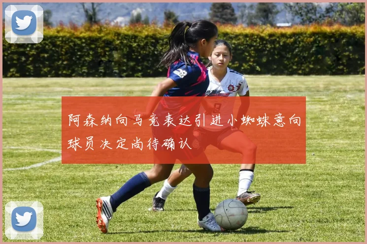 阿森纳向马竞表达引进小蜘蛛意向球员决定尚待确认