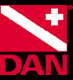 Dan